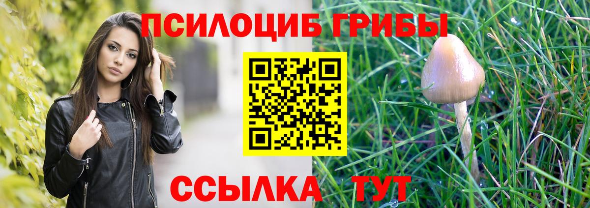 Псилоцибиновые грибы GOLDEN TEACHER  Вход с VPN  Элиста 